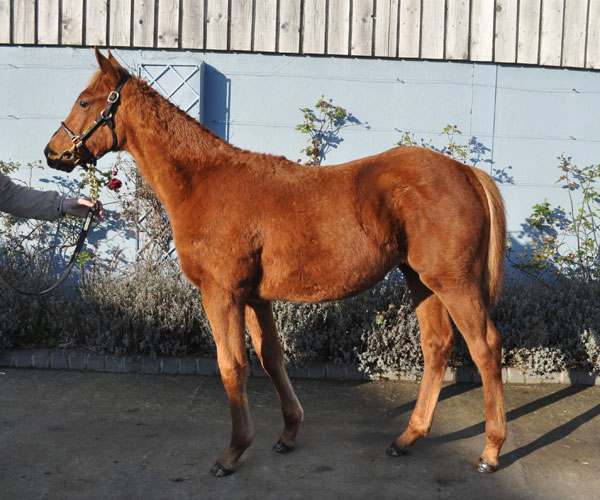 lot 647